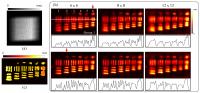Light-field Imaging With Different Angular Samplings