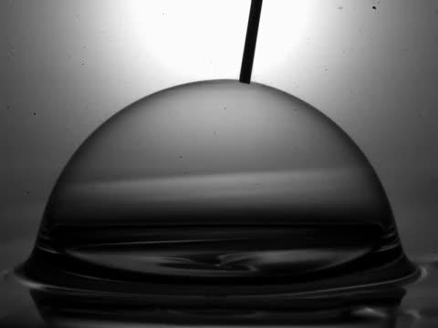 Surface Tension, Not Gravity, Drives Viscous Bubble Collapse (4 of 9)