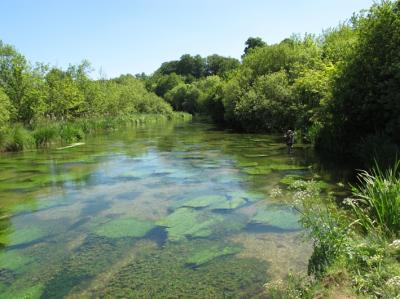 River Itchen in Hampshire