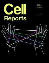 Cell Reports Cover Illustration