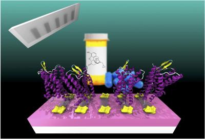 Graphene Biosensor