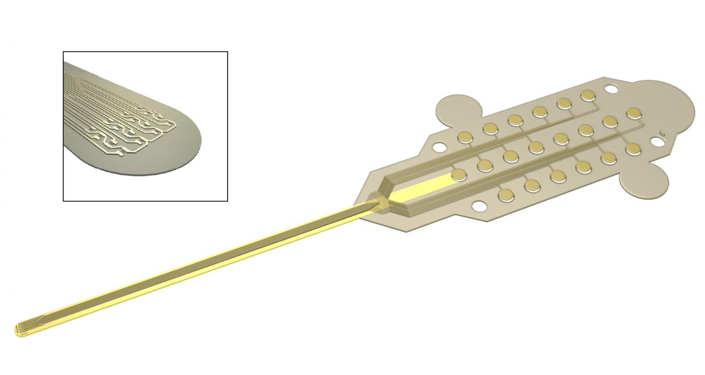 Flexible Neural Probe Based on Graphene Transistors