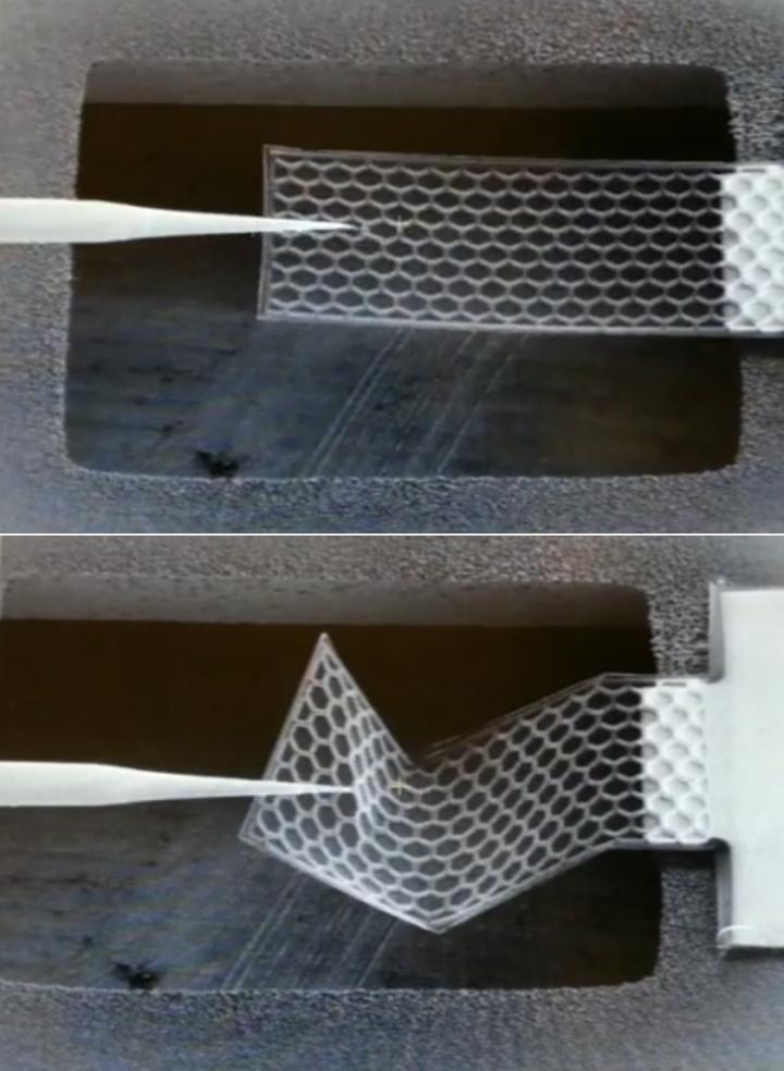 Nano-Plate Manipulated under Magnification