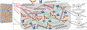 Micron Plate Sm2O3 Composites Enhance Neutron and Gamma Radiation Protection