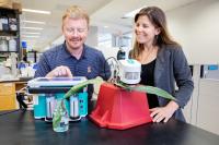 The Researchers