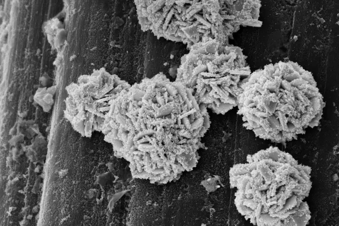 Electron microscopic image of the catalyst