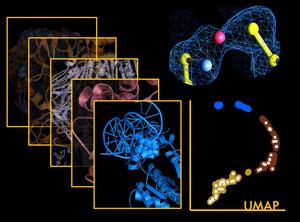 Illustration of how researchers used their new “SimplifiedBondfinder” algorithm to reveal hidden chemical bonds in proteins.