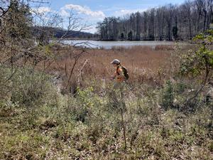 Fieldwork sampling