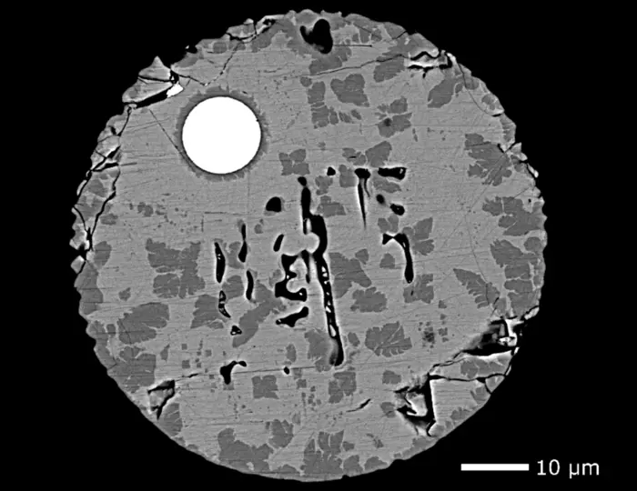 Cross-section of a micrometeorite found in the Antarctic.