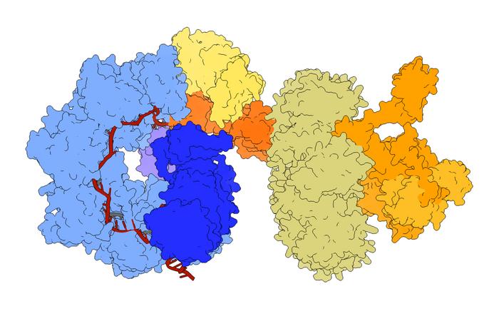EvoCast Gene Editor