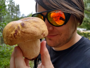 Wild mushroom harvesting