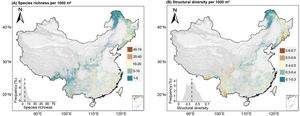 Spatial patterns of tree species richness (A) and structural diversity (B) in China’s natural forests