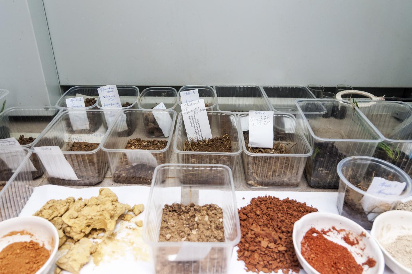 LSF is Suitable for Any Type of Soil