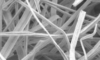 Nickel Felt electrode - EM view