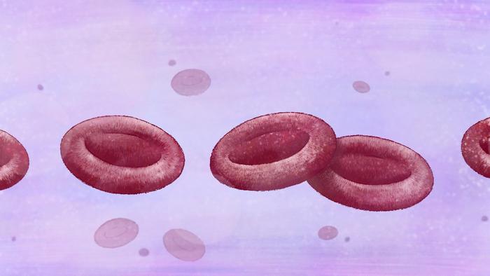 Red blood cells