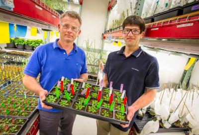 Henrik Scheller and Dominique Loque, Joint BioEnergy Institute