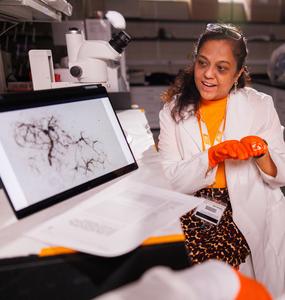 UT College of Veterinary Medicine Professor professor Hameeda Sultana
