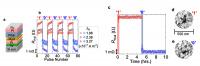 Antiferromagnetic Material's Giant Stride Towards Application