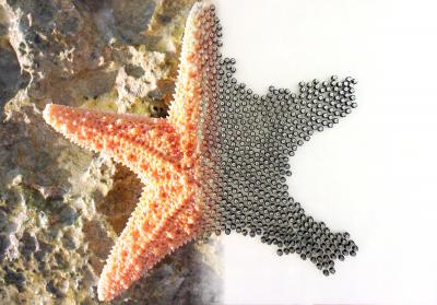 Inspired by Biology