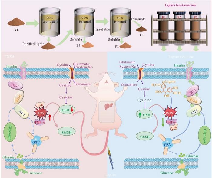 “Lightest” Lignin Fraction Tames Type 2 Diabetes in Rats