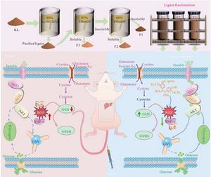 “Lightest” Lignin Fraction Tames Type 2 Diabetes in Rats