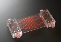 Wyss Institute's Sepsis Device