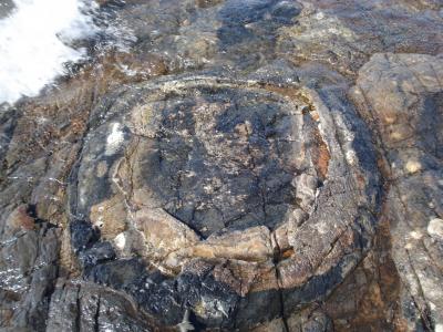 Gunflint Shows Early Feast