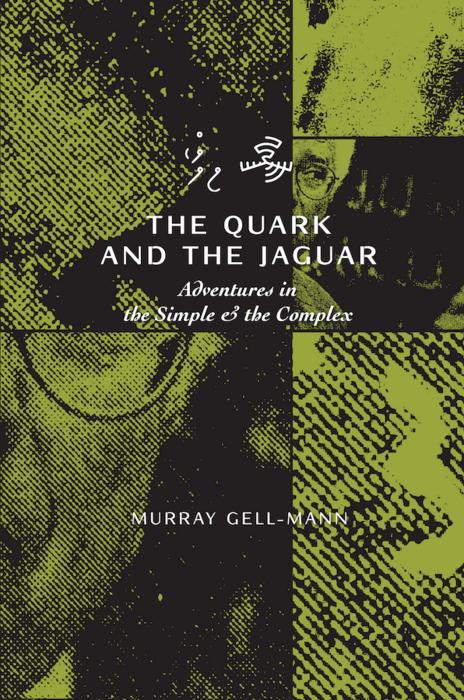 The Quark & the Jaguar book cover