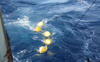 Current Meter and Chain of Floats