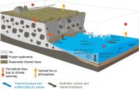 Coastal Erosion