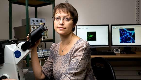 Inna Slutsky, American Friends of Tel Aviv University