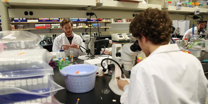 Patrick Cunningham, PhD Student at Lehigh University
