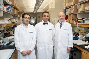 FMT researchers