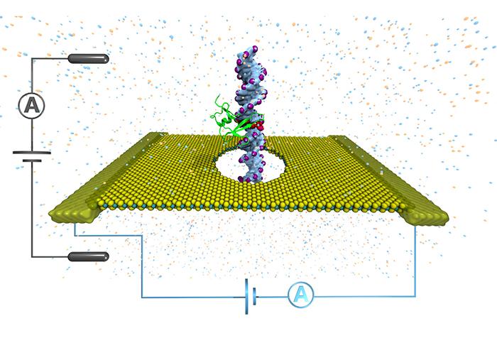 MoS2 Methylation Mapping