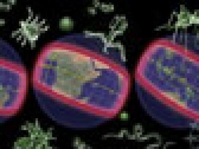 Scientists Say Tropics Are Next Emerging Disease Hotspot