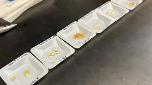 Deep-sea fish confirmed as a significant source of ocean carbonate