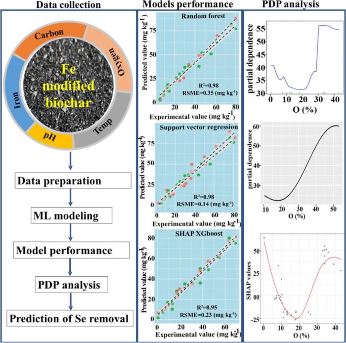 Machine learning approach to predict adsorption capacity of Fe-modified biochar for selenium
