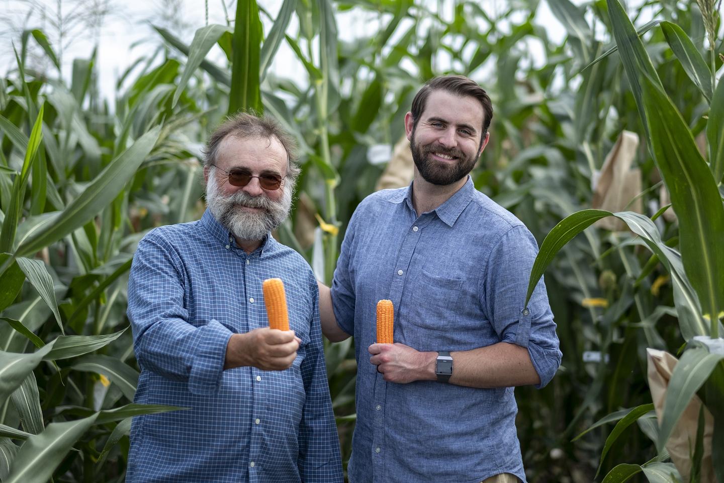 Orange Corn