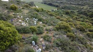 drone shot of the experimental plot