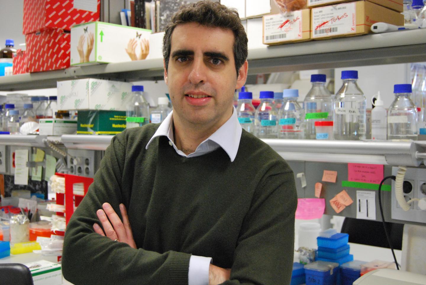 Manel Esteller, IDIBELL-Bellvitge Biomedical Research Institute