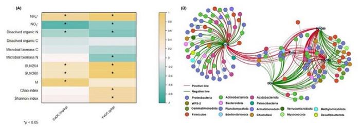 Relationships between measured variables and keystone bacterial taxa with metal-bound organic C after 30-d incubation.