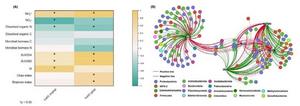 Relationships between measured variables and keystone bacterial taxa with metal-bound organic C after 30-d incubation.