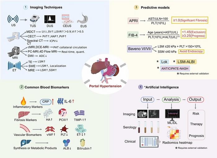 Non-invasive diagnostic strategies for portal hypertension