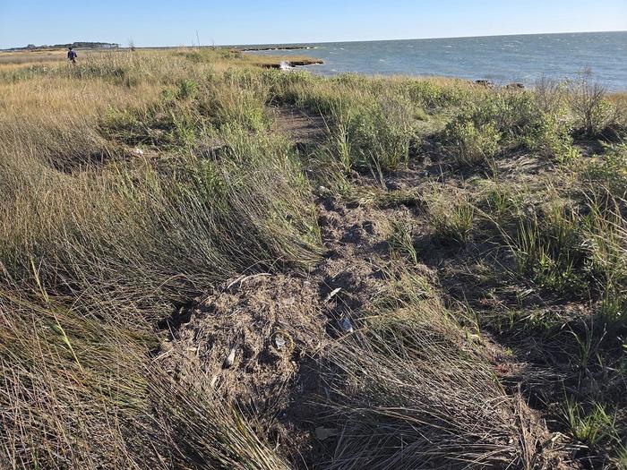 La basura flotante se extiende por la bahía de Chesapeake, el estuario más grande de los Estados Unidos