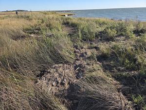 La basura flotante se extiende por la bahía de Chesapeake, el estuario más grande de los Estados Unidos