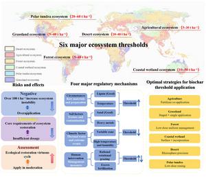 How much biochar should be used in global ecological restoration?