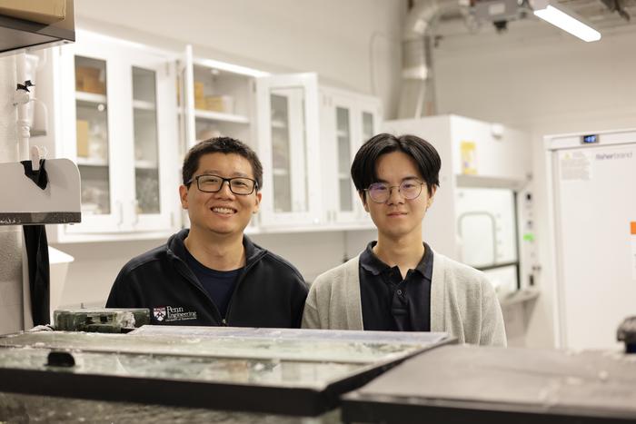 The Researchers
