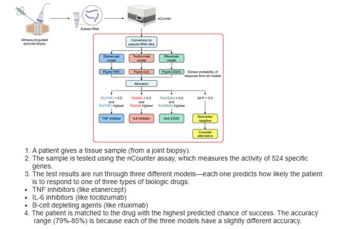 How the predictive test works