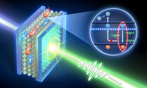 Suppressing Auger recombination for high-performance perovskite VCSELs.