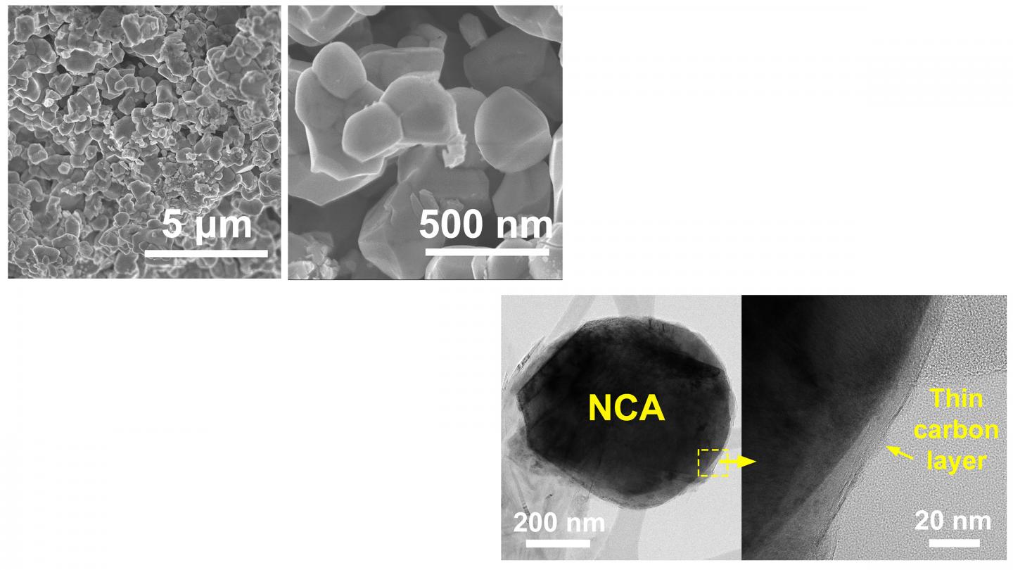 Electron microscopy images